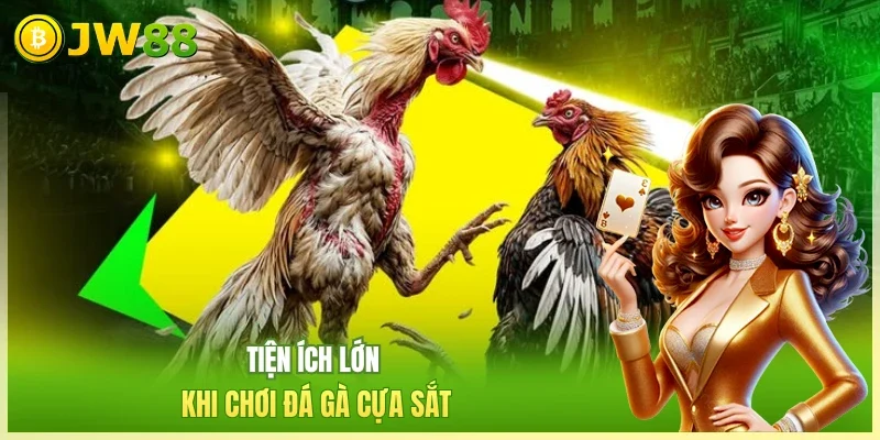 Tiện ích lớn khi chơi đá gà cựa sắt