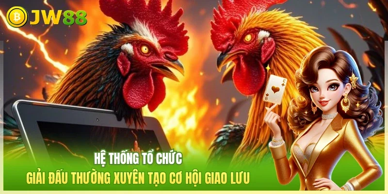 Hệ thống tổ chức giải đấu thường xuyên tạo cơ hội giao lưu 