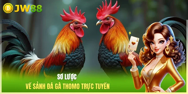 Sơ lược về sảnh đá gà Thomo trực tuyến