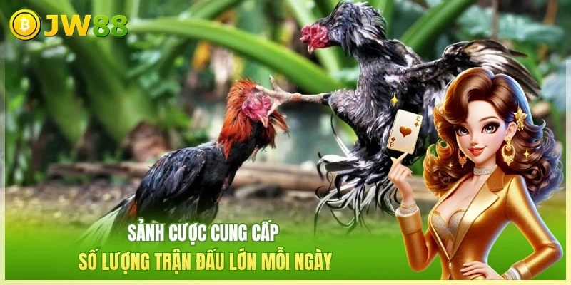Sảnh cược cung cấp số lượng trận đấu lớn mỗi ngày