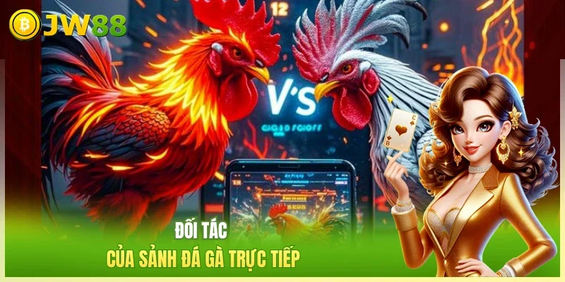 Đối tác của sảnh đá gà trực tiếp