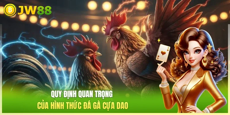 Quy định quan trọng của hình thức đá gà cựa dao