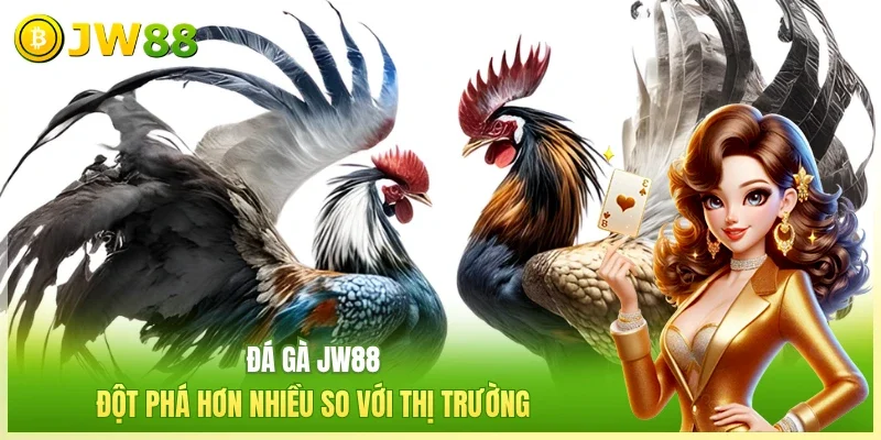 Đá gà JW88 đột phá hơn nhiều so với thị trường 